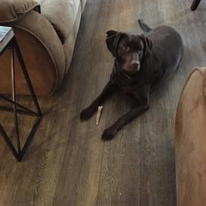 Meet your Posher, Parker